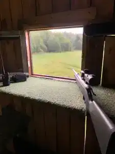 Королевская охота - 41