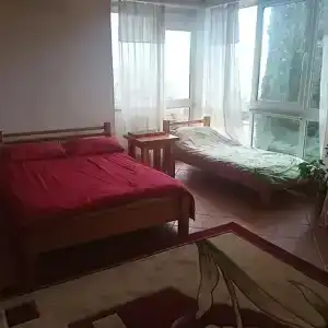 Розмарин - 12