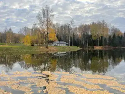 Алёшкино - 1