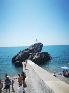 Эллинг Дельфин - 2
