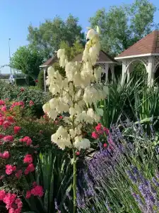 Ай-Петри - 38