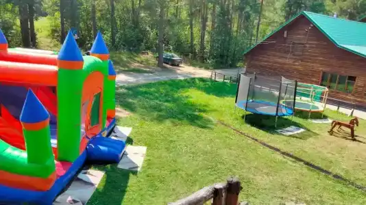 Сова - 19