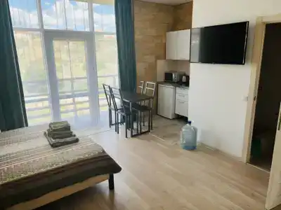 Вариант Омега - 41