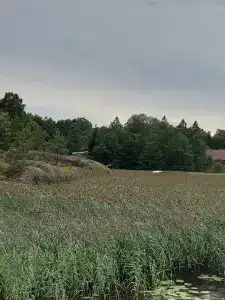 Ravansaari - 95