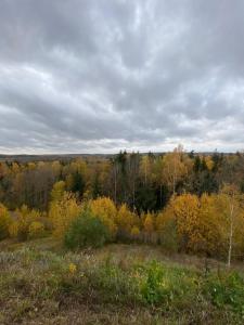 Логойск - 93