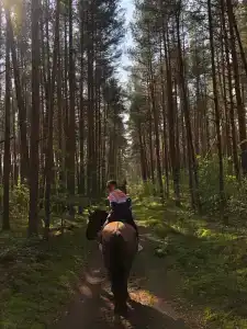 ХвояХутор - Казачий Курень - 36