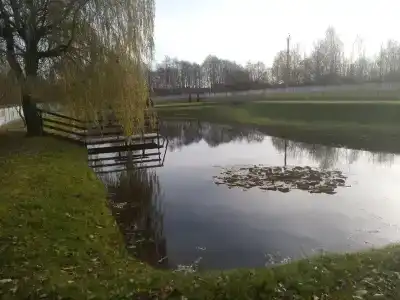 Тихая заводь - 6