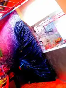 АртБарин - 26