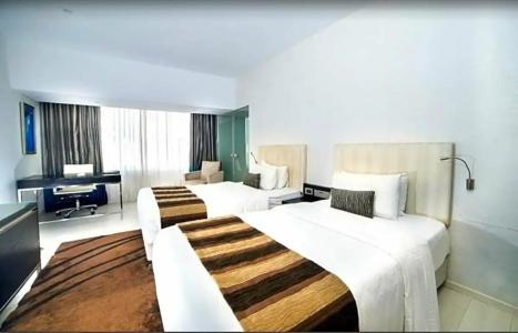 Clarion President - 18