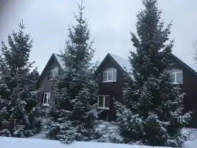 Альбатрос - 38