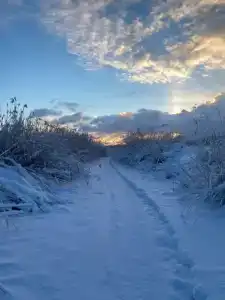 Дом на берегу Ладоги Tervunjoki - 52
