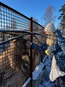 Ясная Поляна - 43