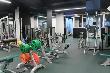 Граф Толстой - 14