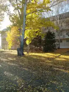 Лазурный - 21