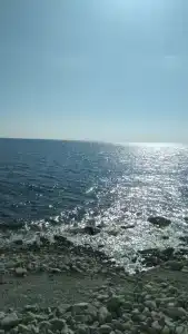 Берег - 1