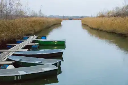 Пиранья - 3