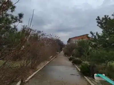 Киммерик - 98