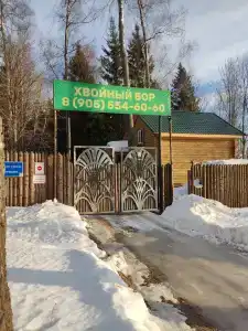 Хвойный бор - 9