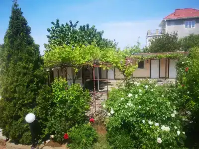 Баунти - 30