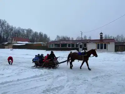 Белая лошадь - 4