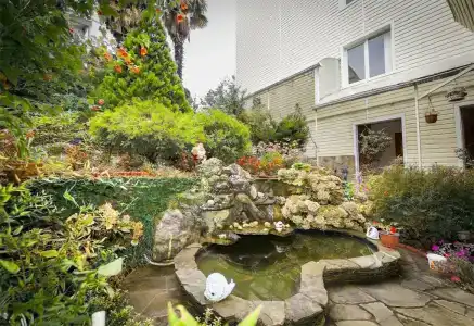 Пальмира - 19