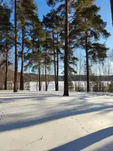 Лопотово - 75