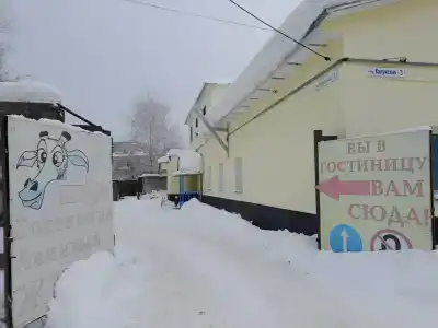 Ленивый жираф - 15