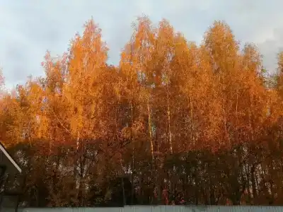 База отдыха на Белой - 8