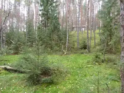 Кристалл - 20