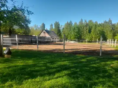 Белая лошадь - 0