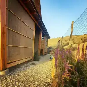 innrock - 17