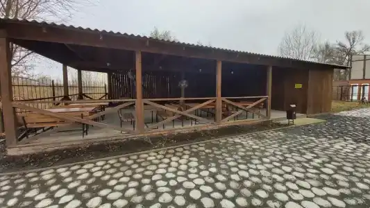 Пиранья - 12