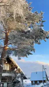 Купола Карелии - 5