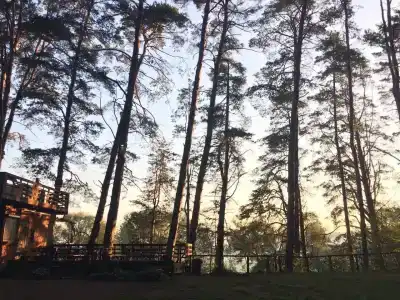 T-Park, тренинговый парк - 91