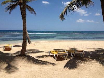 Playa Esmeralda Beach - 20