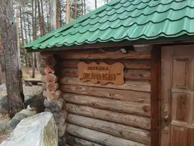 Сосновый бор - 56