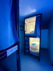 Норка - 1