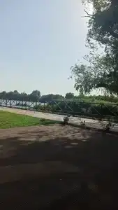 ПЛЕСъ - 12