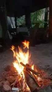 Золотые пески - 47