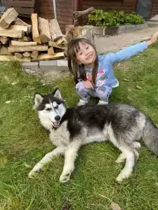 К-значит Карелия - 51