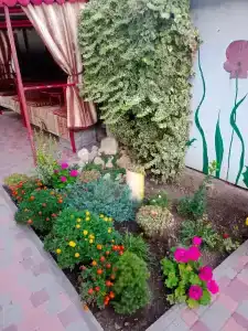 Зарафшан - 4
