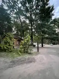 Лесная сказка - 41