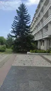 Голубой Залив - 65