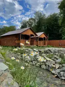 Alan House - 27