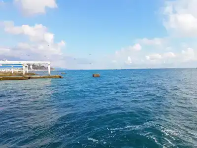Берег Черного моря - 4