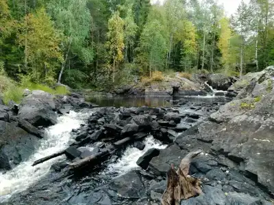 Сегозеро - 14
