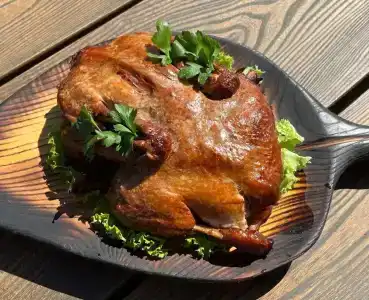 Поплавок - 33