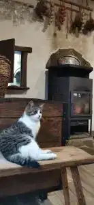 Беловежское Поместье - 69