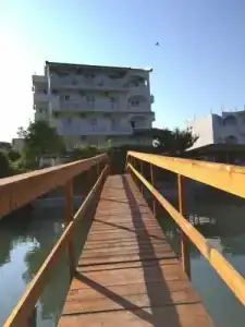 Cungu - 0