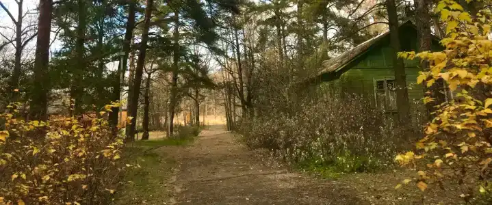 Улыбышево - 54